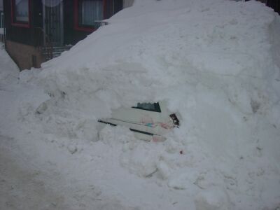 Schneefr&auml;senopfer