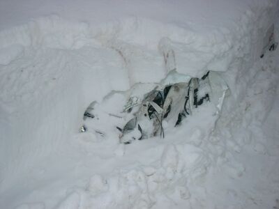 Schneefr&auml;senopfer