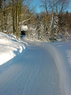 Winter im Harz